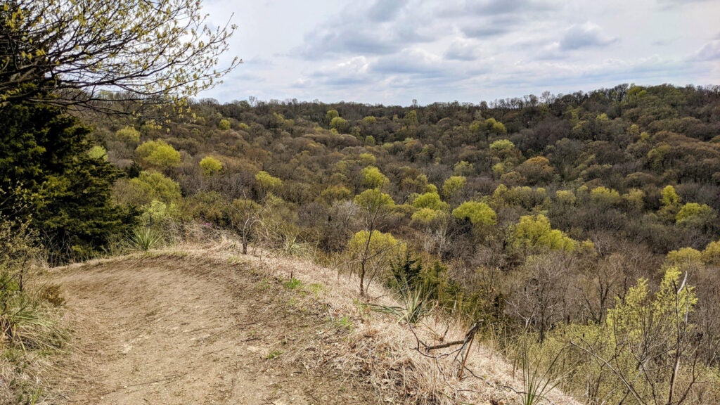 NextImg:First Day Hikes 2024: Where to Hike on New Year's Day in All 50 States