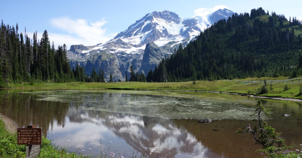 Mount Rainier National Park Will Require Reservations in 2024 Backpacker