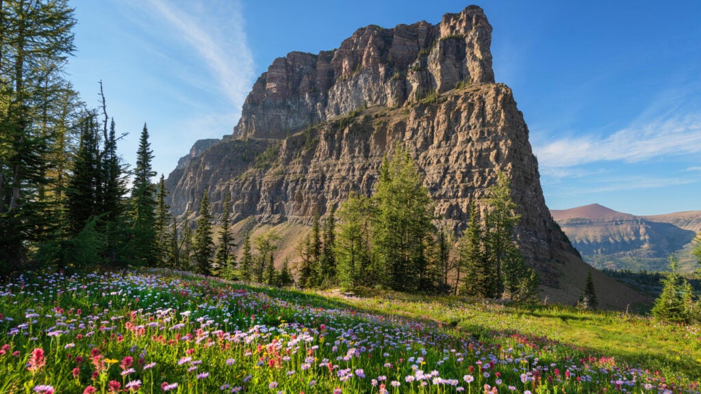 The 101 Best Miles of Hiking in the National Parks