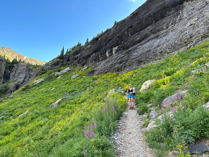 A hiker stands on a trail surrounded by wildflowers