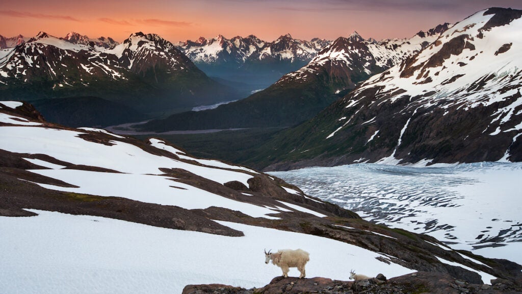 NextImg:5 Dayhikes You Need To Add To Your Bucket List