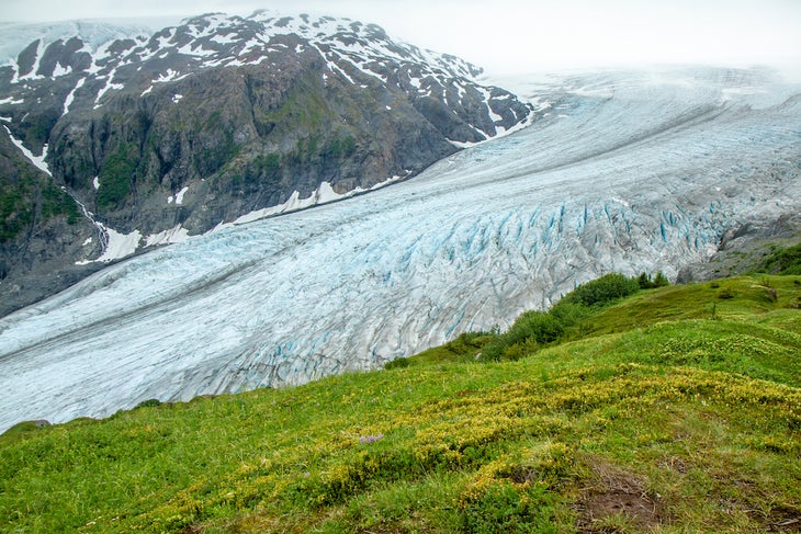 Exit Glacier, Alaska, USA, as seen from the Harding Ice field Trail