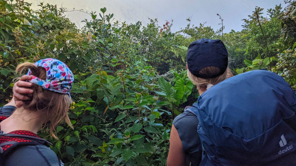 NextImg:Talking About Our Mistakes Will Make Us All Better Hikers