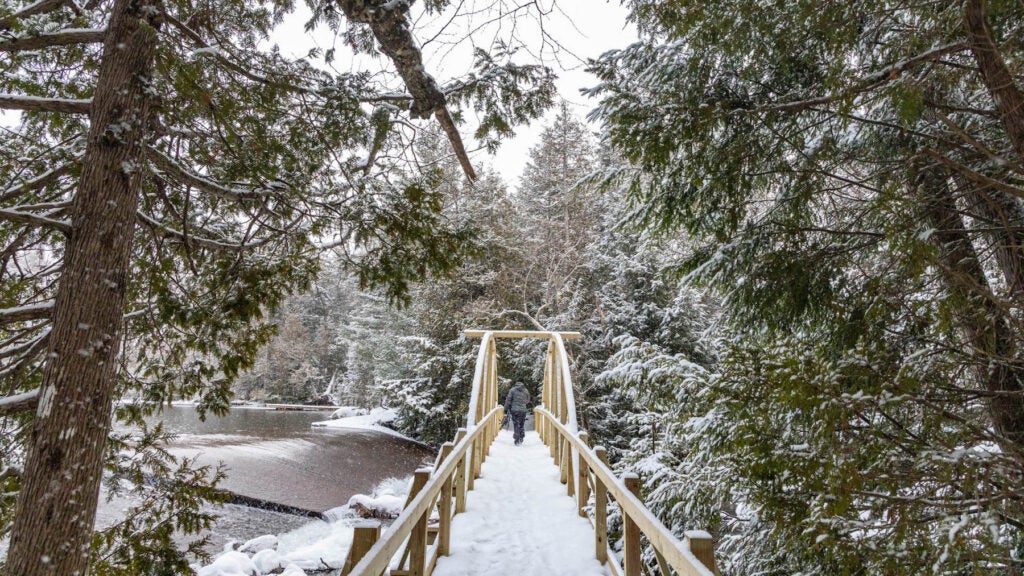NextImg:Calm Your Mind on These 5 Peaceful Trails