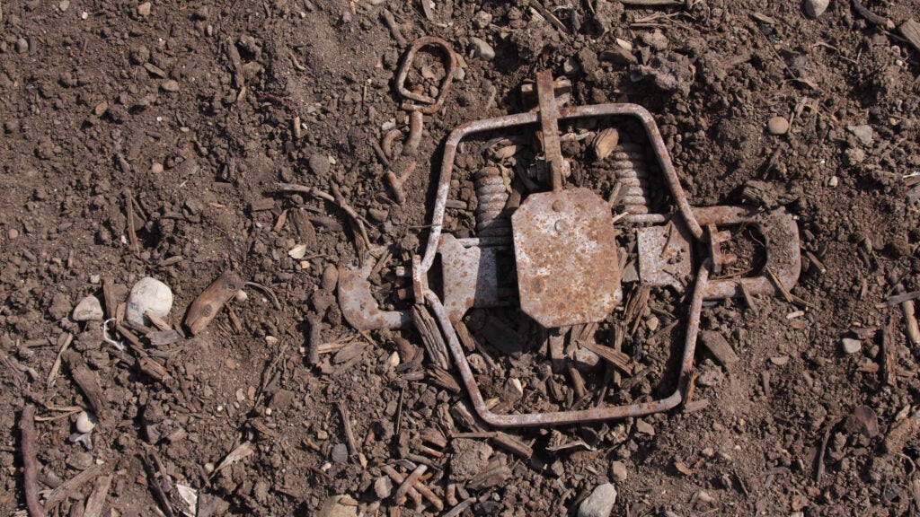 Knowing How to Save Your Dog From Animal Traps Could Save His Life—Here's How