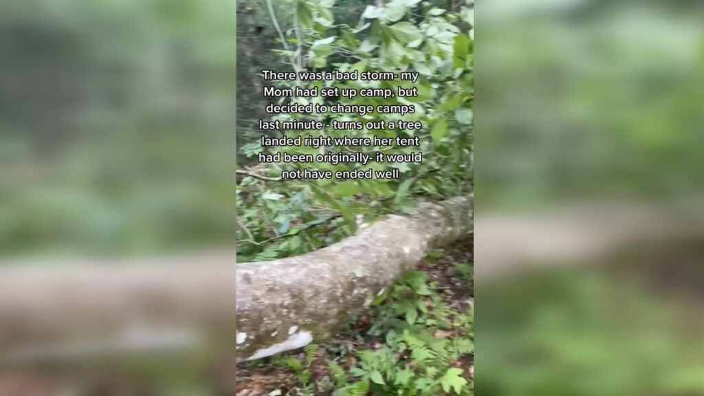 NextImg:Close Call of The Week: Almost Hit By A Falling Tree