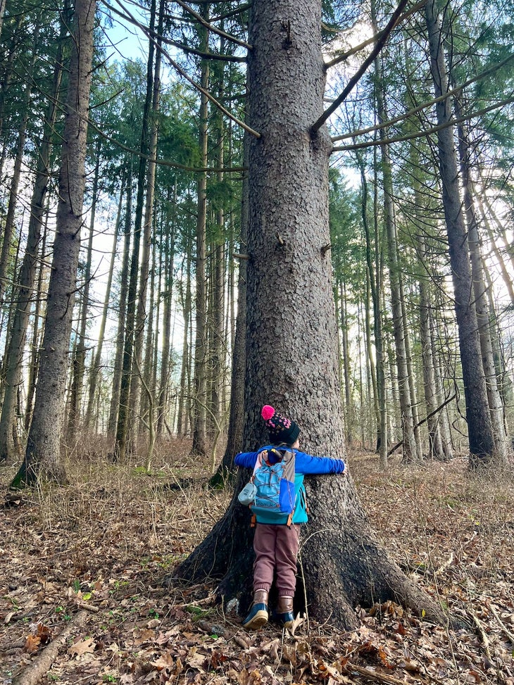 child hugging a tree to stay put while lost