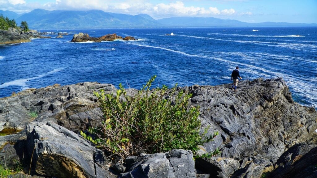 NextImg:The 3 Best Beach Backpacking Trails in the Pacific Northwest