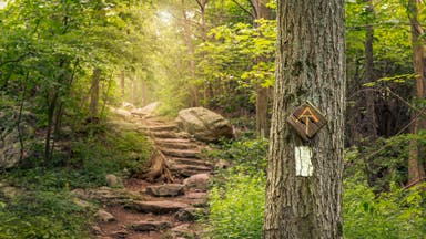 Thru-Hiking the Appalachian Trail Was My Dream. Here’s Why I Gave It Up.