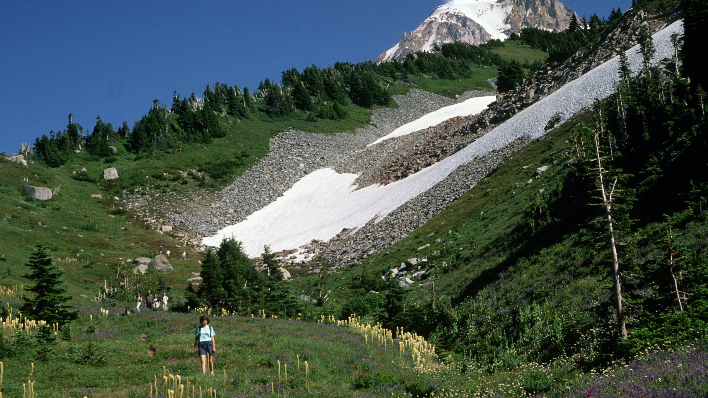 Timberline trail dayhike