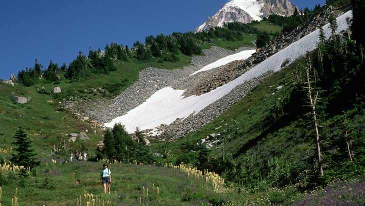 Timberline trail dayhike