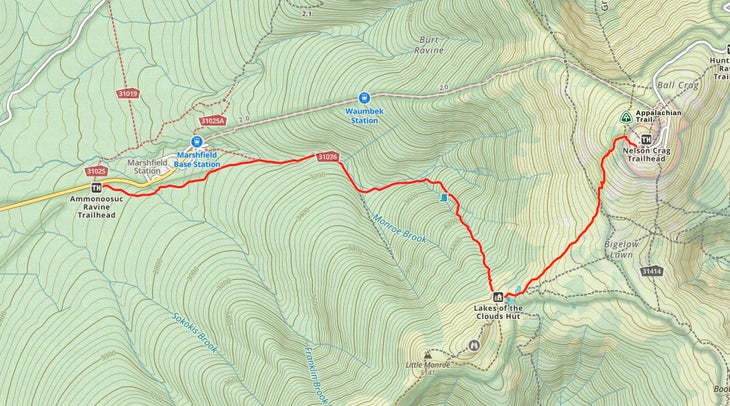 Ammonoosuc Ravine Trail