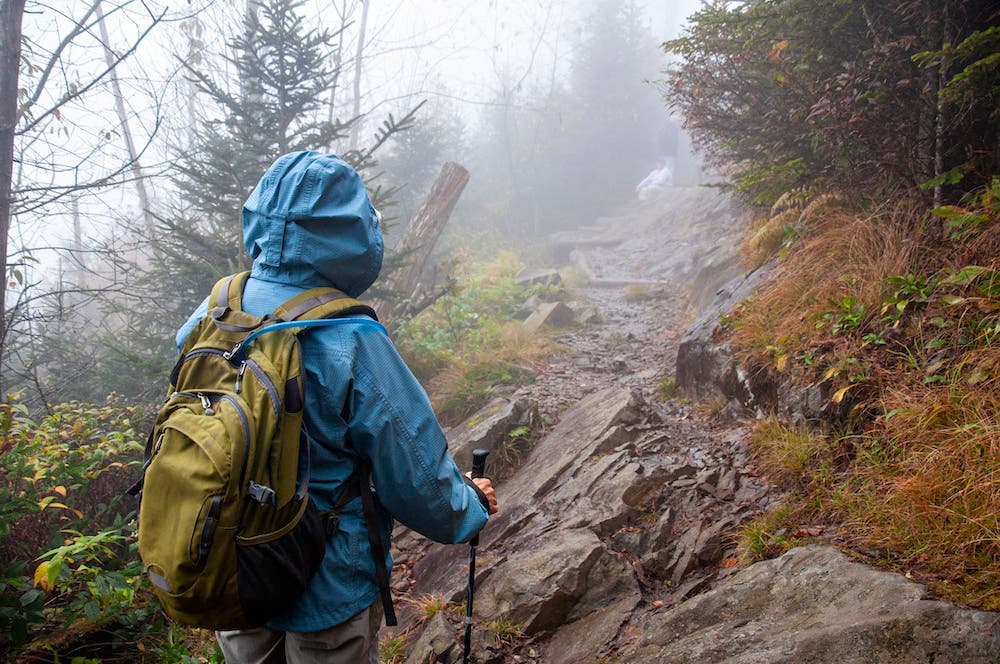 best rolling backpack for travel market research Bag with Sturdy Wheels, 17'' / Black Luggage Accessory Features a large main Loungefly Hello Kitty And Size:Saltist 35H
