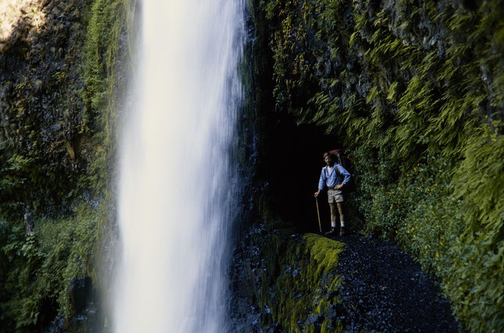 Hiker standing on verdant trail