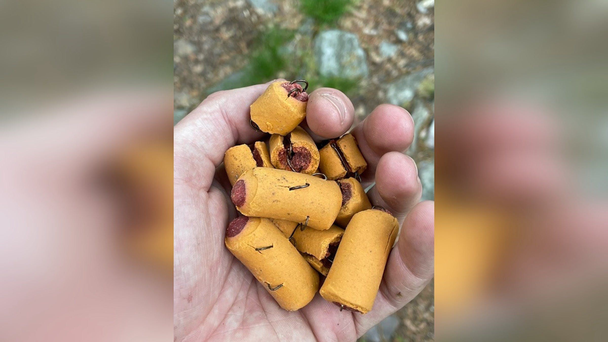 appalachian trail dog treats fish hooks Someone's Setting Traps for Dogs on the Appalachian Trail