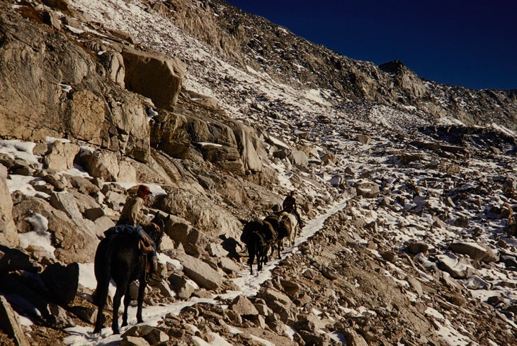 NPS rangers on horseback