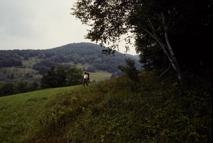 person walking on green, hilly trail