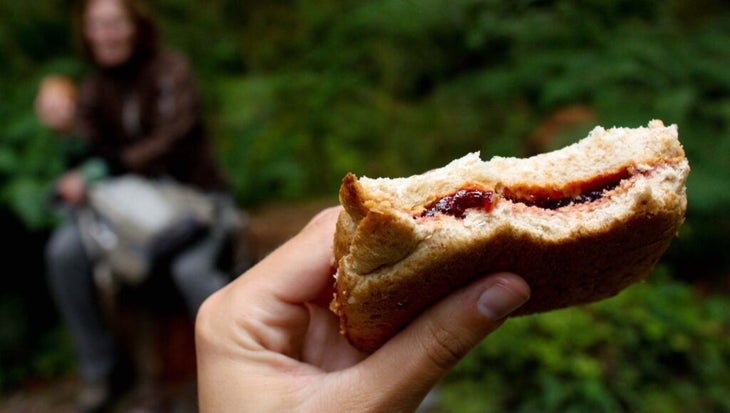 A hand holding a butter and jelly sandwich in the woods as she wanders 