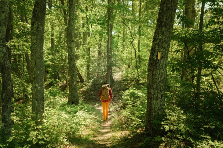 Why This Is the Year to Hike West Virginia’s Allegheny Trail - Backpacker