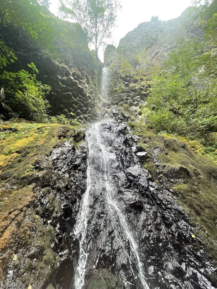 Cascade spotted along a waterfall hike in Hood Rivers Starvation Creek State Park. 