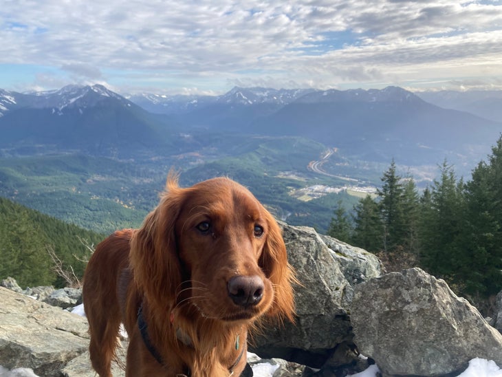 mt. si with a dog steep trail