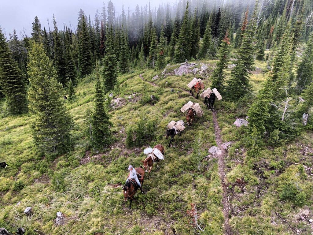 There's a Shortage of Trail Builders. These Programs Can Help. - Backpacker