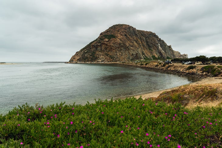 Overcast Day in Morro Bay State Park beach camping