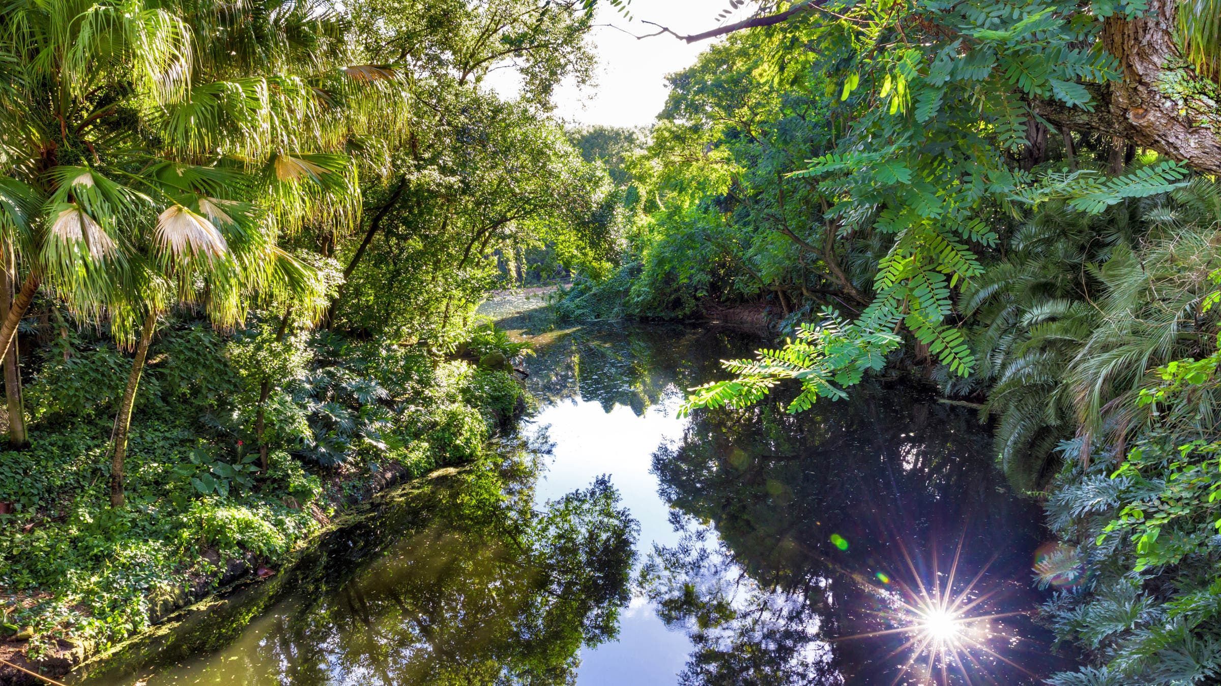 Hiking the Florida Trail Is a Winter Adventure for People Who Hate ...