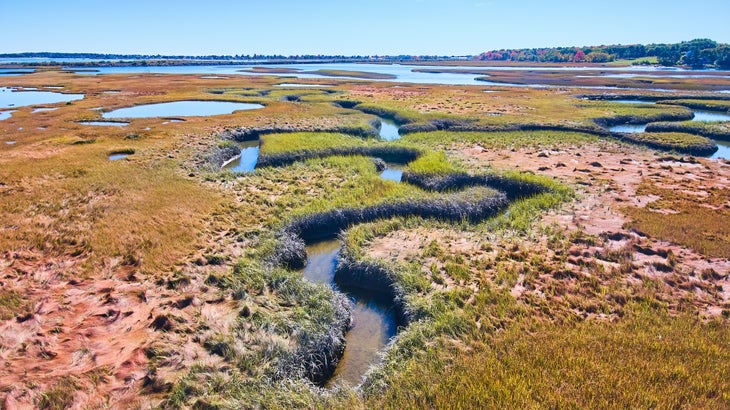 marshes of Maine