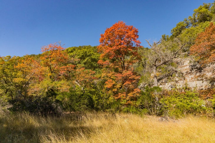 East Trail fall leaf hikes