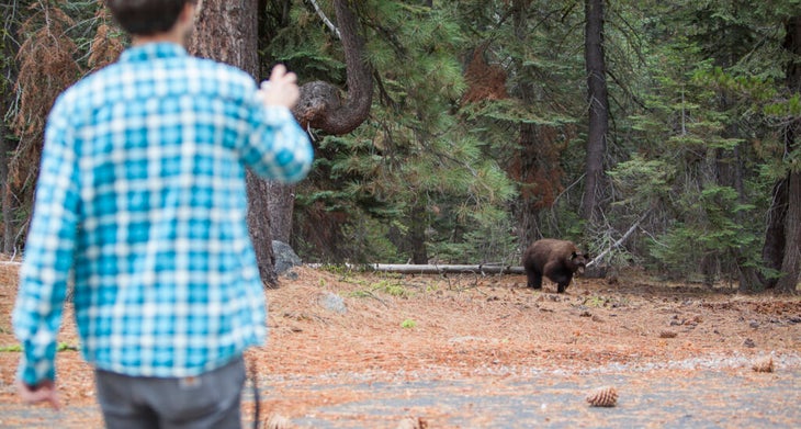 Bear Spray Can Breed False Confidence. That’s Dangerous.