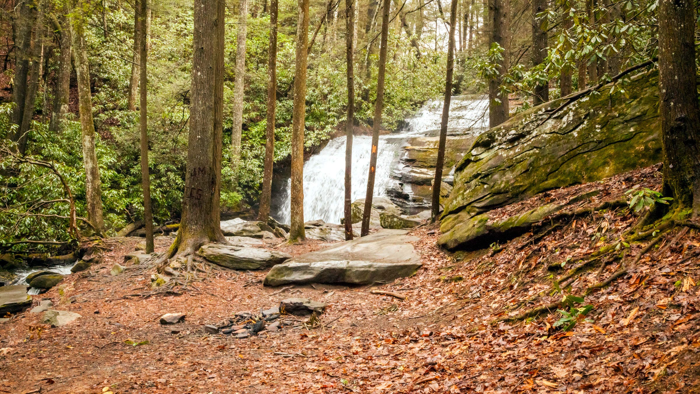 These Southern Long Trails Are Ready to Welcome AT Hikers Fleeing ...