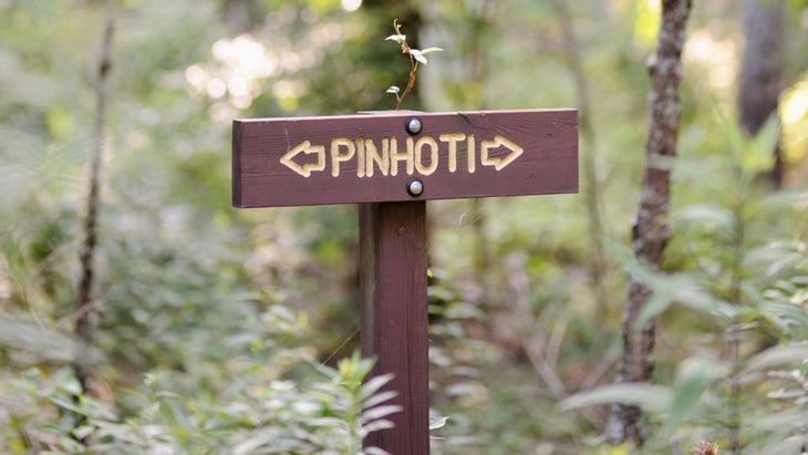 These Southern Long Trails Are Ready to Welcome AT Hikers Fleeing ...