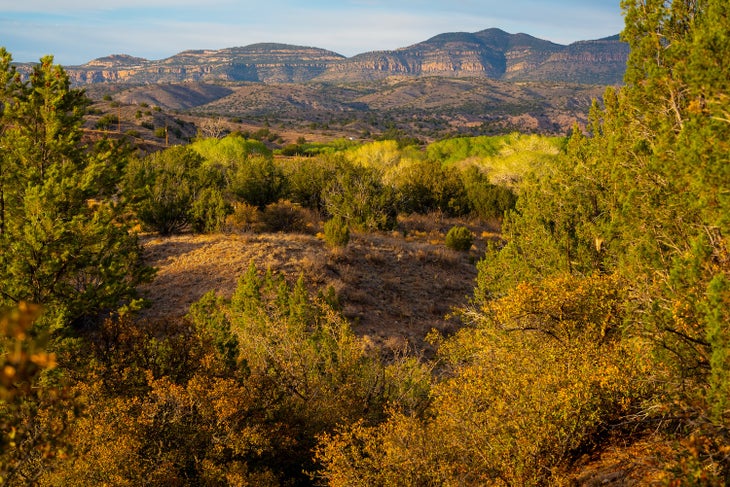 New Mexico Mountain Range Gila National Forest