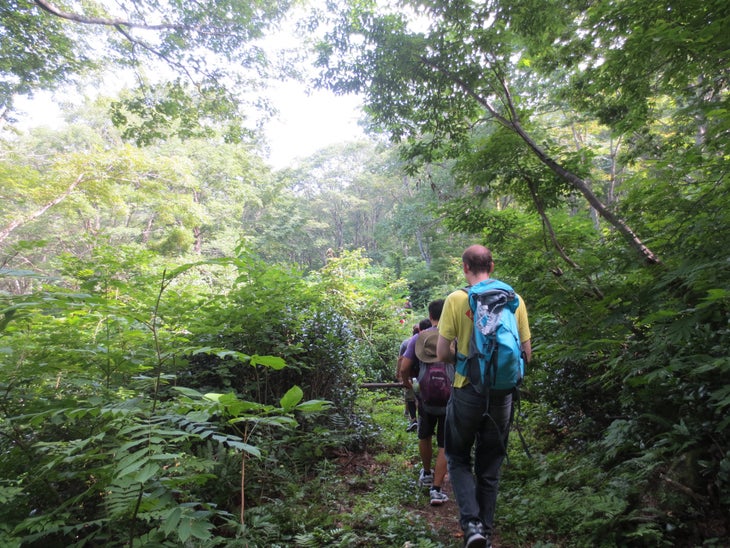 group hike on misty trail