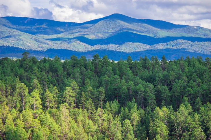 Truchas Peak in the Santa Fe National Forest.