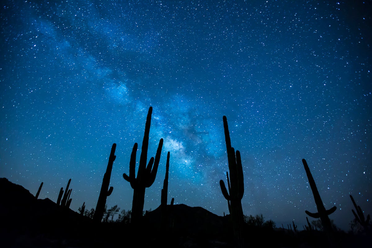 A Saguaro Fell on a Hiker’s Head and Sent Her to the Hospital. Here’s How Bad Cactus Injuries Can Get