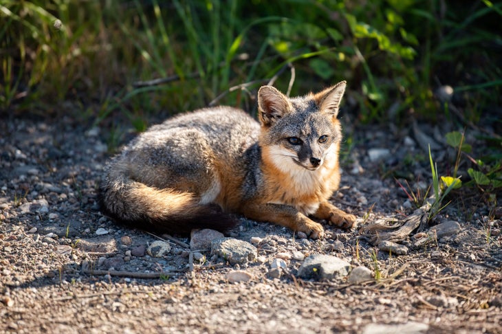 Ventura County Coast