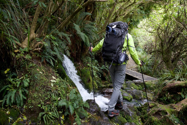 Hiker in thick goblin forest