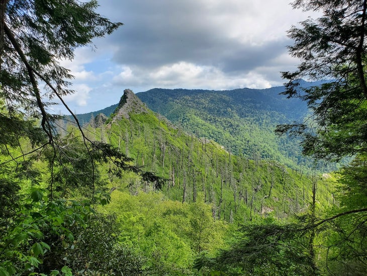 great smoky mtn national park