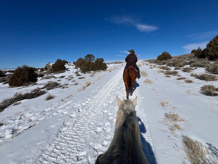 Brushing the Stream Horse Trail