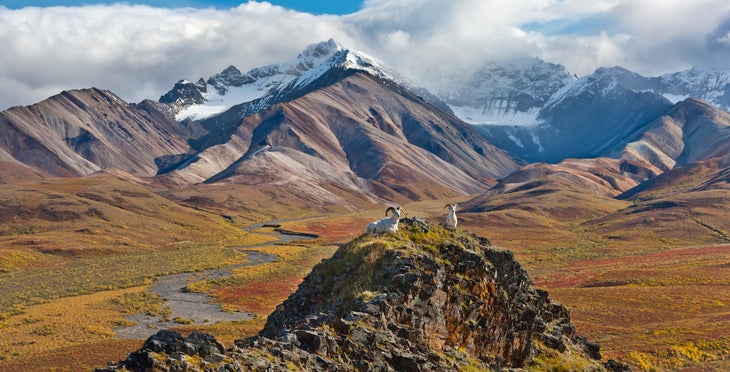 Polychrome Pass, Alaska range mountains, Denali National Park, Alaska