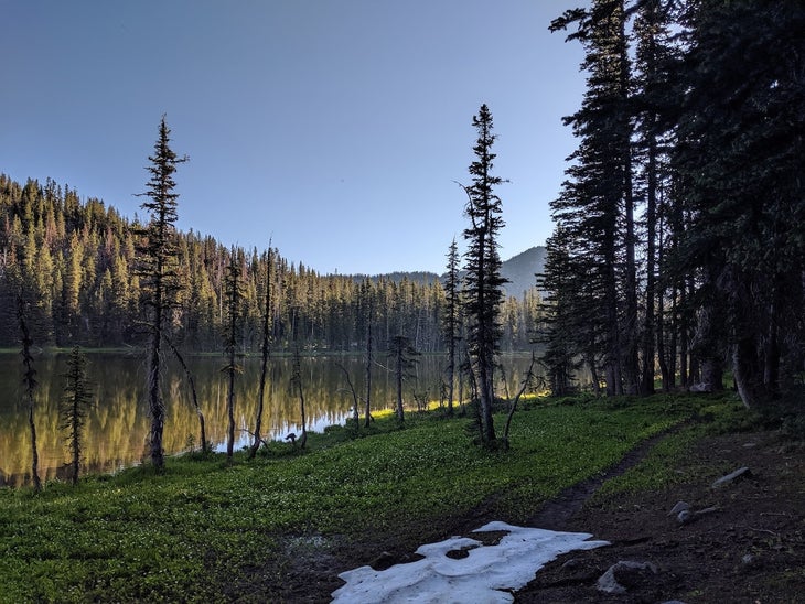 elkhorn crest trail