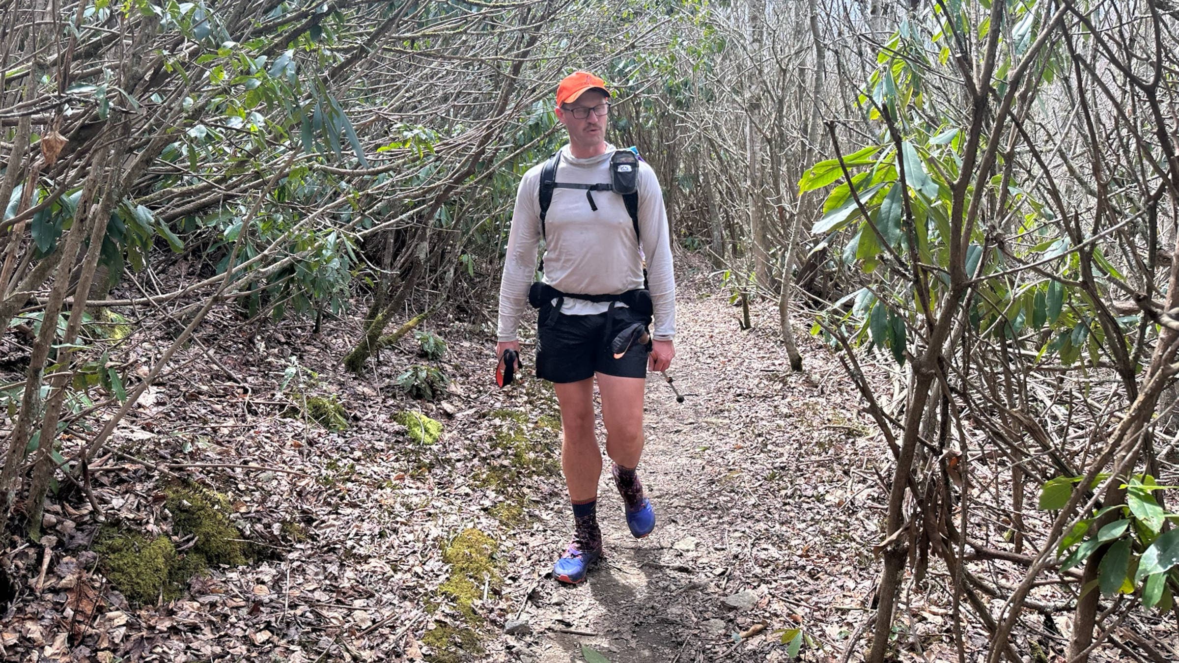 hiker walking in woods