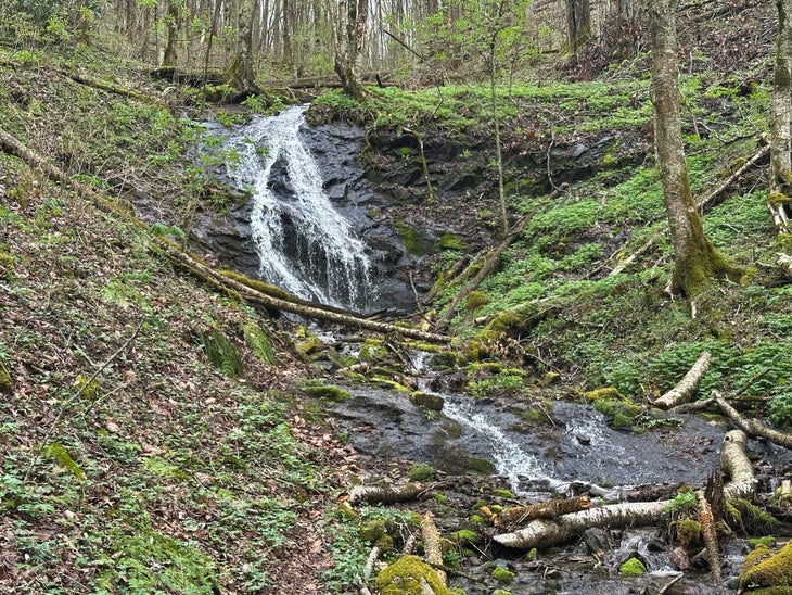 Trailside Stream