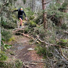 Navigating deadfall on hiking trail