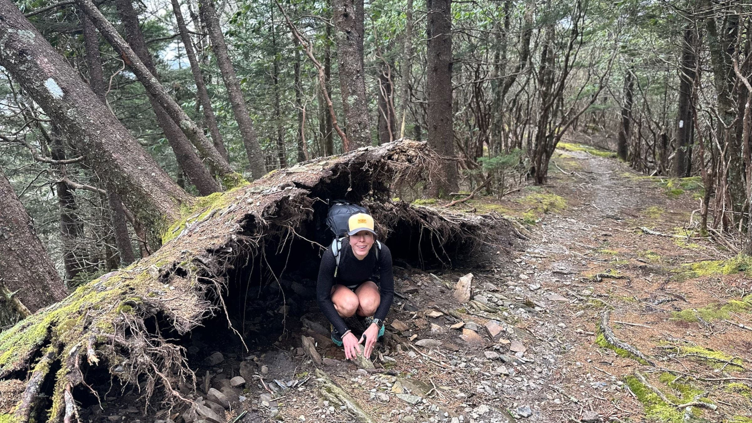 Hiker by uprooted tree