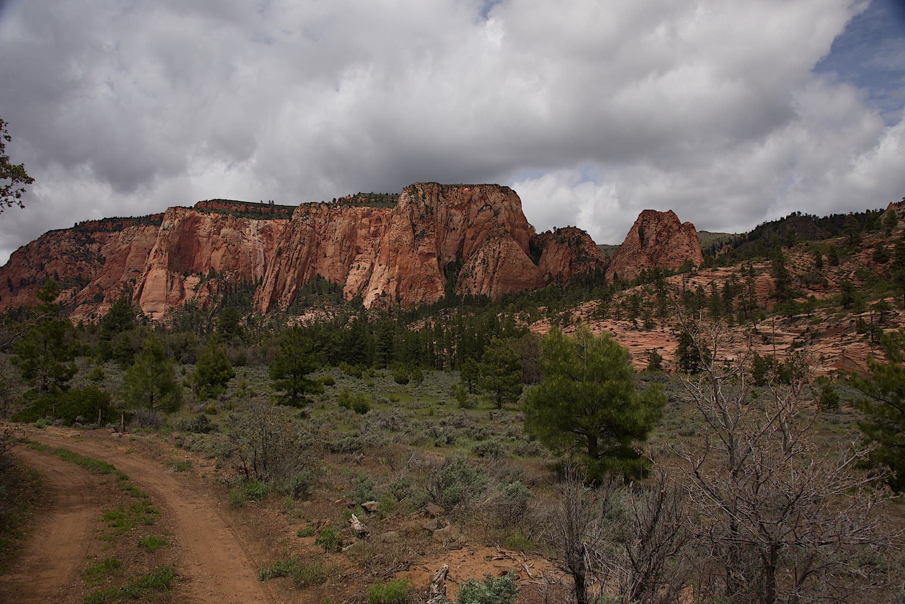View from Kolob Terrace Road on the western side of Zion National Park