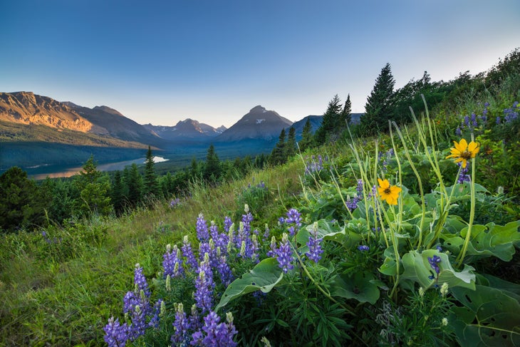 Two Medicine Lake