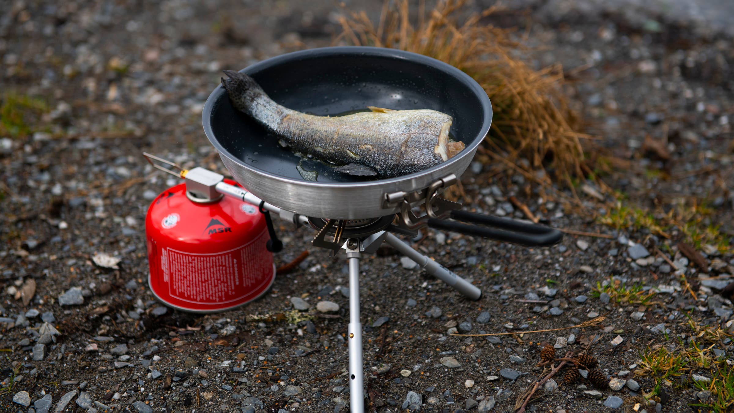 backpacking stoves 2025